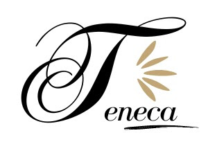 logotipo de Teneca